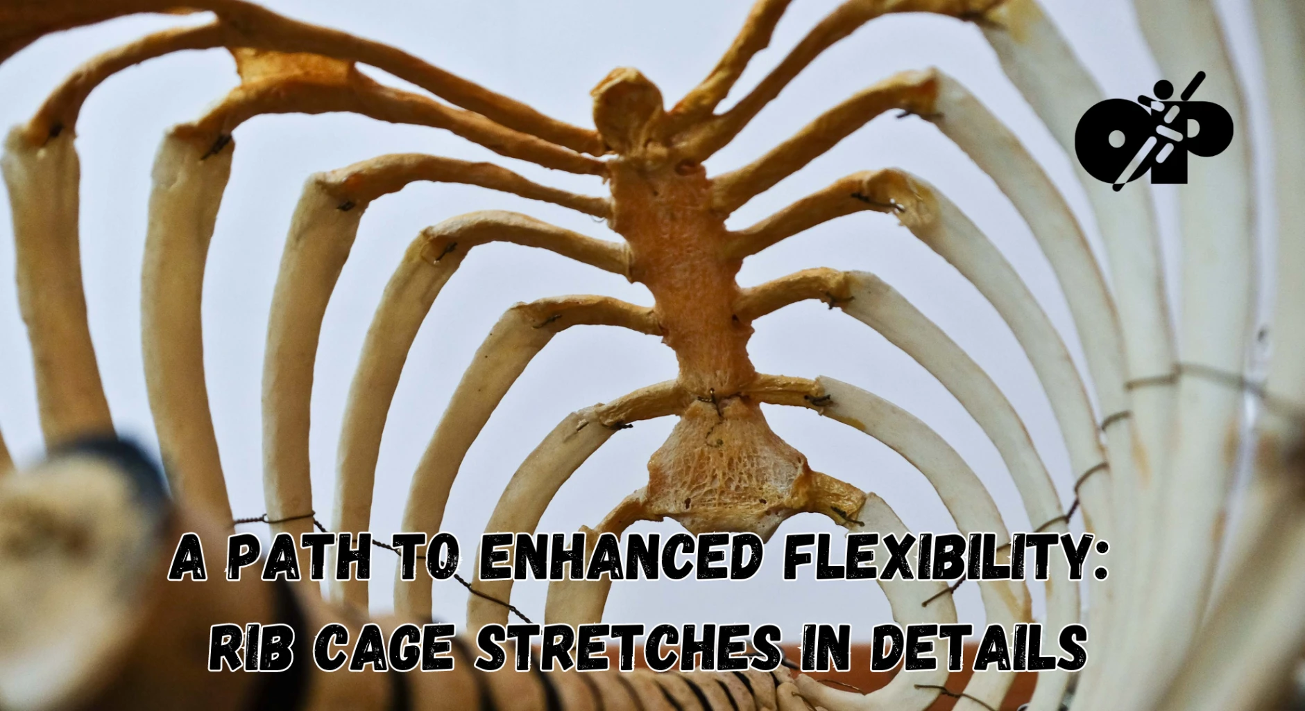 14. Rib Cage Stretches – A Path to Enhanced Flexibility