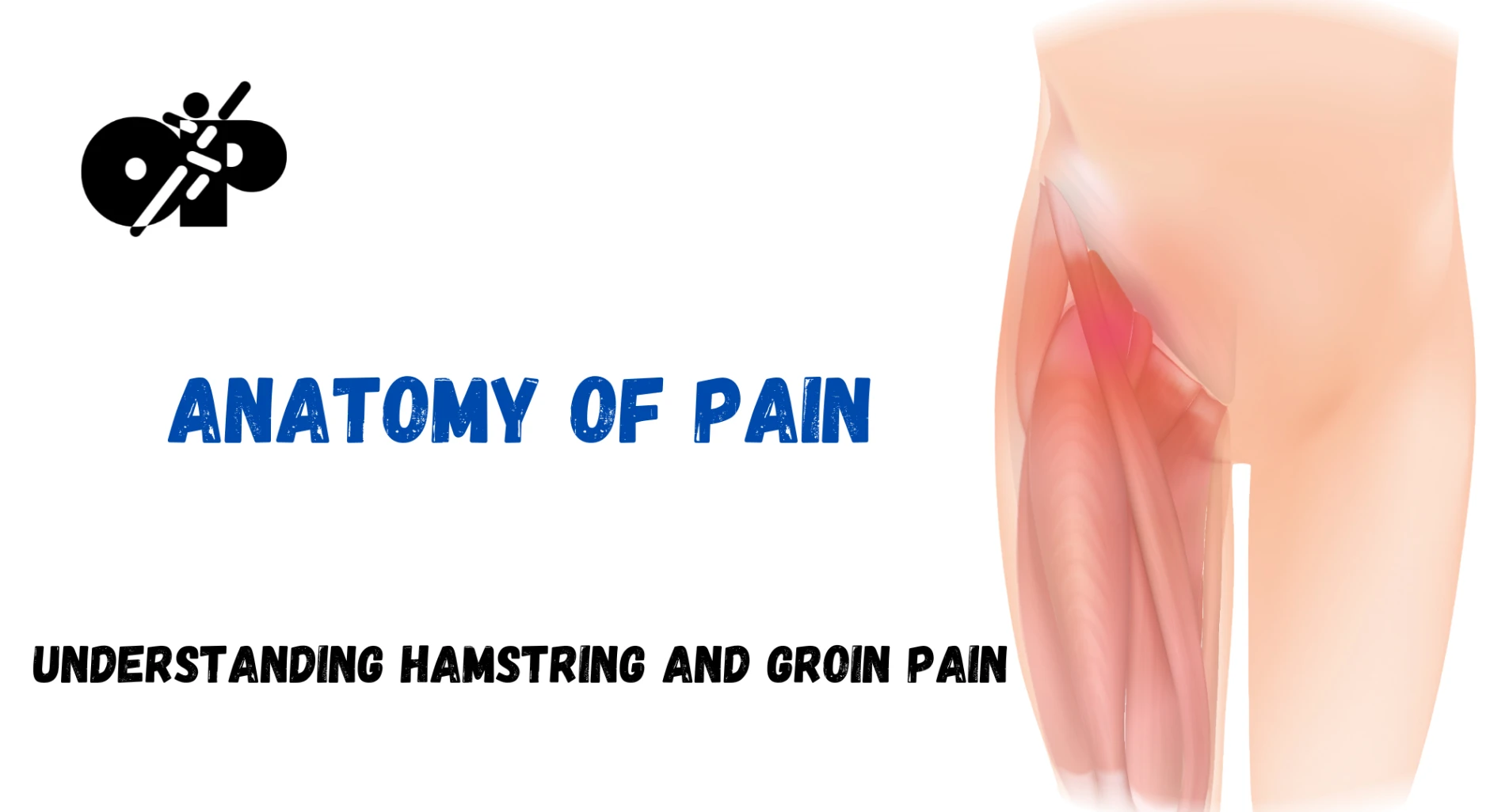 47. Anatomy of Pain - Understanding Hamstring and Groin Pain