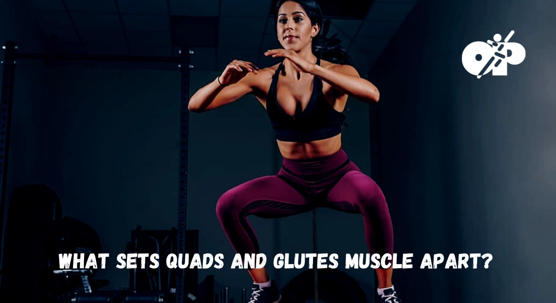 15. What Sets Quads and Glutes Muscles Apart