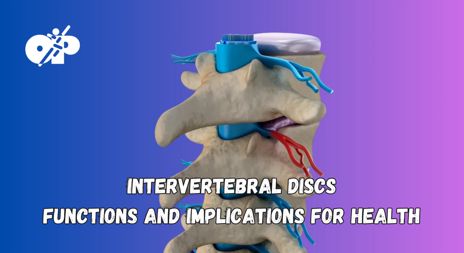 17. Intervertebral Discs – Functions and Implications for Health